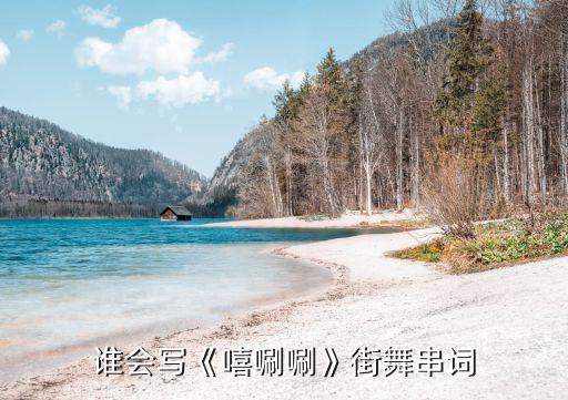 谁会写《嘻唰唰》街舞串词