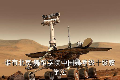 谁有北京 舞蹈学院中国舞考级十级教学法