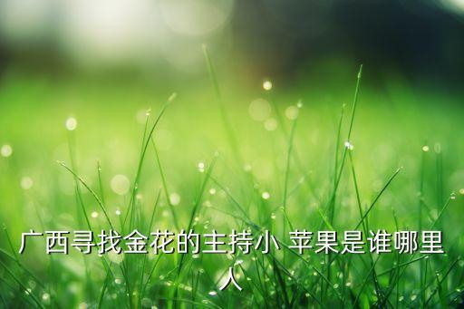 广西寻找金花的主持小 苹果是谁哪里人