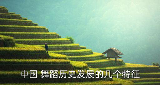 中国 舞蹈历史发展的几个特征