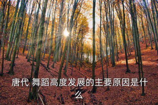  唐代 舞蹈高度发展的主要原因是什么