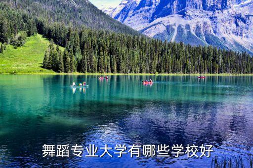  舞蹈专业大学有哪些学校好