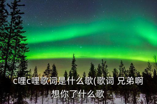 c哩c哩歌词是什么歌(歌词 兄弟啊想你了什么歌