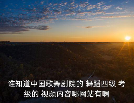 谁知道中国歌舞剧院的 舞蹈四级 考级的 视频内容哪网站有啊