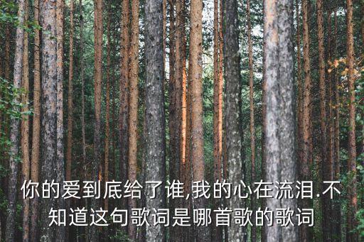 你的爱到底给了谁,我的心在流泪.不知道这句歌词是哪首歌的歌词