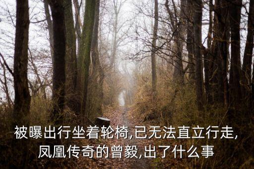 杨魏玲花舞蹈动作