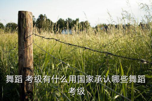舞蹈 考级有什么用国家承认哪些舞蹈 考级