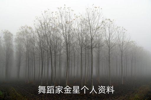  舞蹈家金星个人资料
