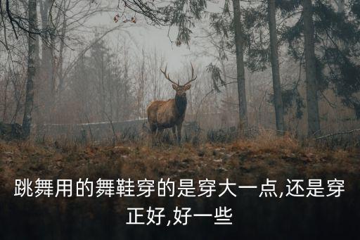 跳舞用的舞鞋穿的是穿大一点,还是穿正好,好一些