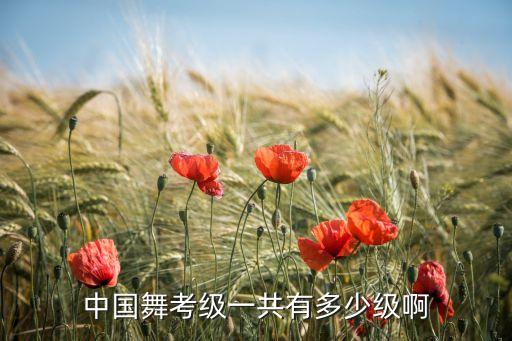 中国舞考级一共有多少级啊