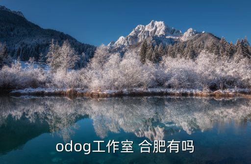 odog工作室 合肥有吗