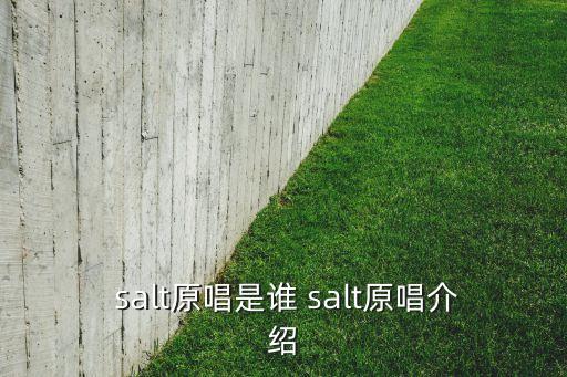  salt原唱是谁 salt原唱介绍