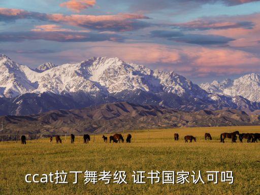体育舞蹈比赛得奖证书,中国体育舞蹈联合会考级证书