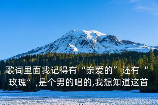 歌词里面我记得有“亲爱的”还有“ 玫瑰”,是个男的唱的,我想知道这首...