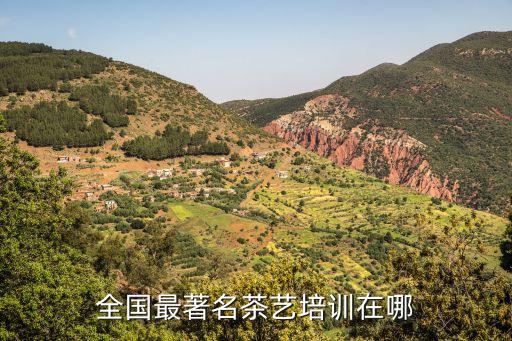 全国最著名茶艺培训在哪