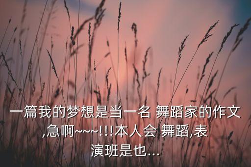 一篇我的梦想是当一名 舞蹈家的作文,急啊~~~!!!本人会 舞蹈,表演班是也...