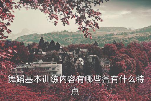 舞蹈体能运动有哪些,体能运动锻炼宝贝的哪些方面