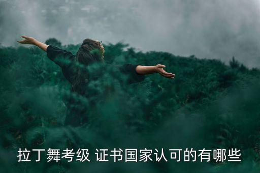 拉丁舞考级 证书国家认可的有哪些