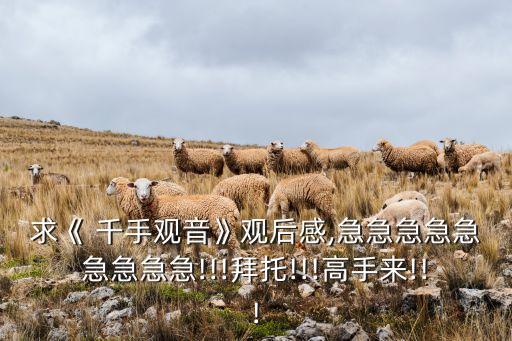 千手千眼幼儿园舞蹈