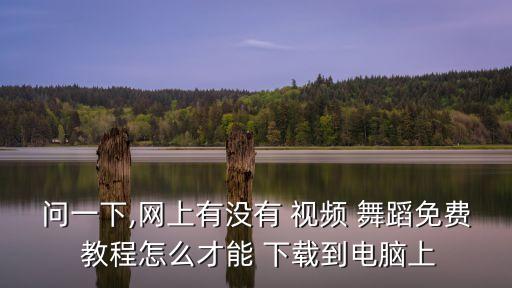 问一下,网上有没有 视频 舞蹈免费 教程怎么才能 下载到电脑上