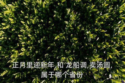 舞蹈演示 新龙船调反,新龙船调二人转舞蹈视频