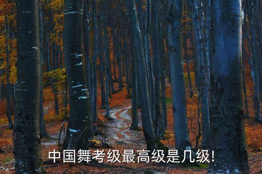 中国舞考级最高级是几级!