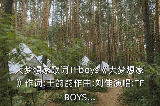 大梦想家歌词TFboys《大梦想家》作词:王韵韵作曲:刘佳演唱:TFBOYS...