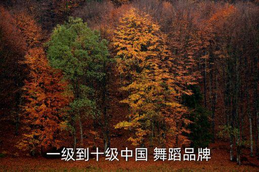 一级到十级中国 舞蹈品牌