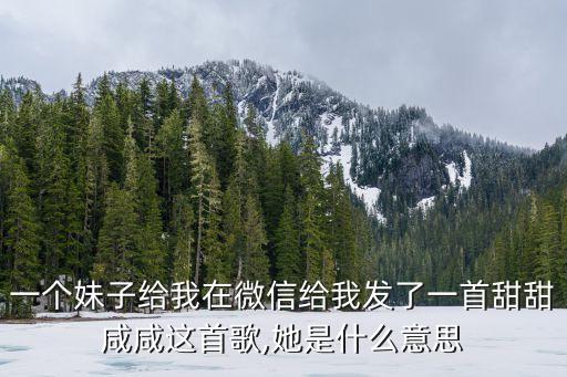 一个妹子给我在微信给我发了一首甜甜咸咸这首歌,她是什么意思