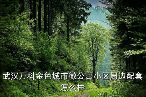 武汉万科金色城市微公寓小区周边配套怎么样