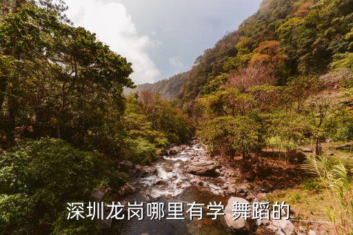 深圳布吉有舞蹈班吗