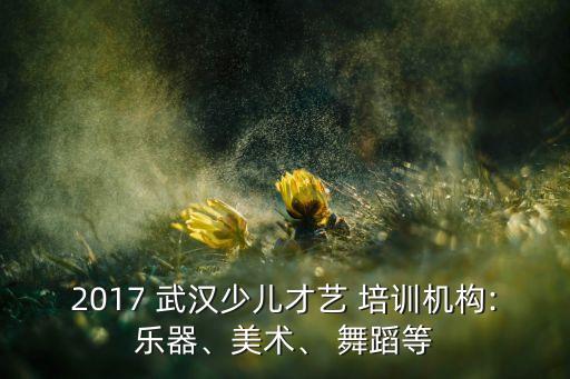 2017 武汉少儿才艺 培训机构:乐器、美术、 舞蹈等