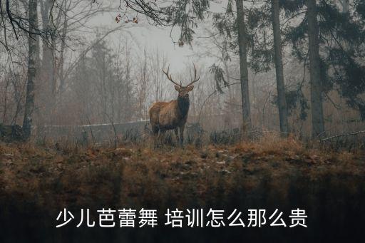 少儿芭蕾舞 培训怎么那么贵