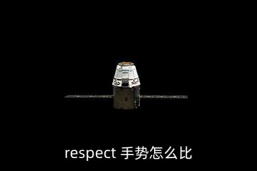 respect 手势怎么比