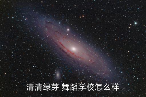 清清绿芽 舞蹈学校怎么样