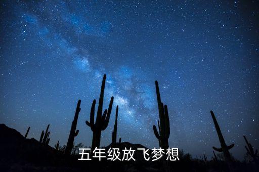 凤凰飞幼儿舞蹈视频,获奖舞蹈凤凰飞