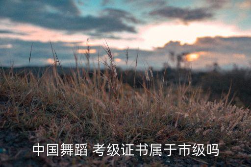 中国舞蹈家协会 考级