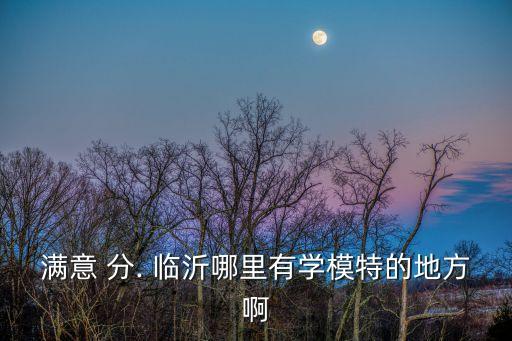 满意 分. 临沂哪里有学模特的地方啊