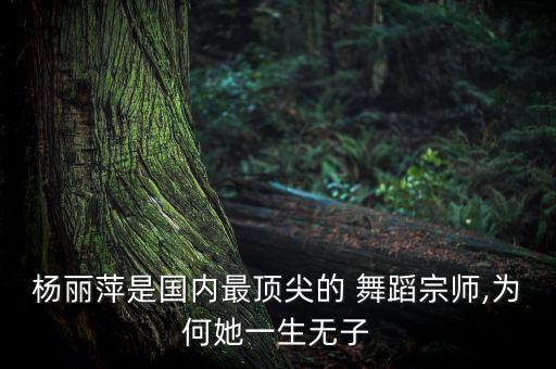 中国好舞蹈 孔雀舞,杨丽萍的舞蹈视频孔雀舞