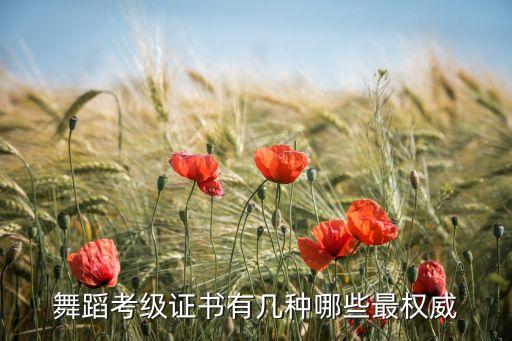 舞蹈考级证书有几种哪些最权威