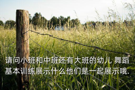 请问小班和中班还有大班的幼儿 舞蹈基本训练展示什么他们是一起展示哦...