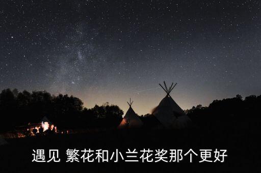 遇见 繁花和小兰花奖那个更好