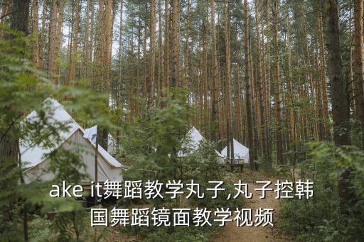 shake it舞蹈教学丸子,丸子控韩国舞蹈镜面教学视频