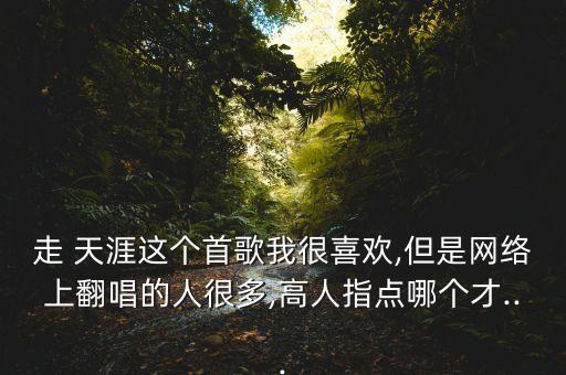 走 天涯这个首歌我很喜欢,但是网络上翻唱的人很多,高人指点哪个才...