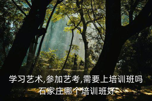 学习艺术,参加艺考,需要上培训班吗 石家庄哪个培训班好