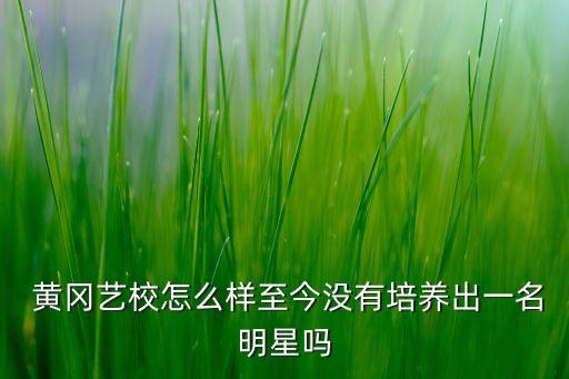  黄冈艺校怎么样至今没有培养出一名明星吗