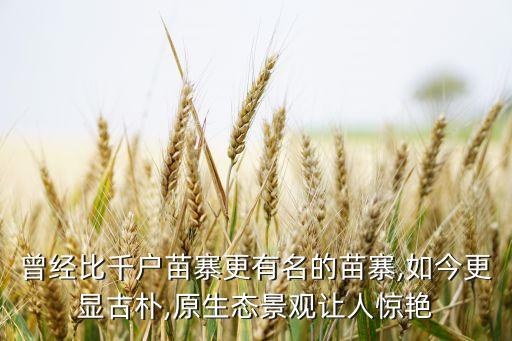 曾经比千户苗寨更有名的苗寨,如今更显古朴,原生态景观让人惊艳