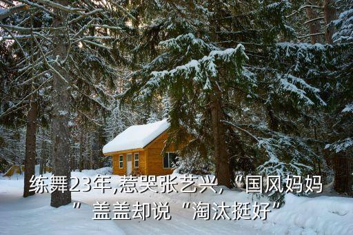 练舞23年,惹哭张艺兴,“国风妈妈”盖盖却说“淘汰挺好”