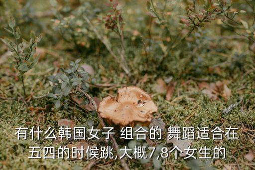 有什么韩国女子 组合的 舞蹈适合在五四的时候跳,大概7,8个女生的