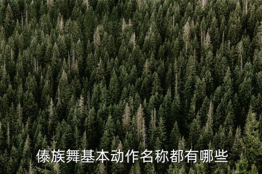  傣族舞基本动作名称都有哪些
